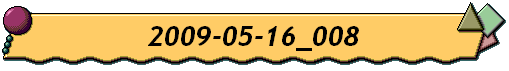 2009-05-16_008