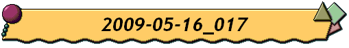 2009-05-16_017