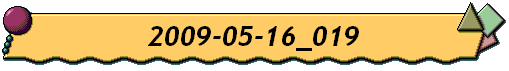 2009-05-16_019