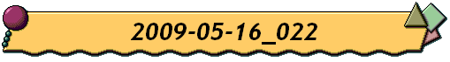 2009-05-16_022