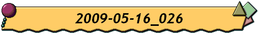 2009-05-16_026