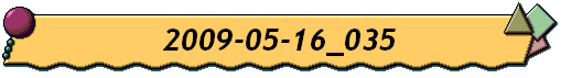 2009-05-16_035
