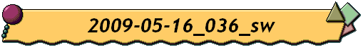 2009-05-16_036_sw