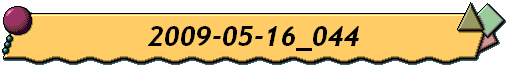 2009-05-16_044