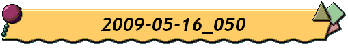 2009-05-16_050