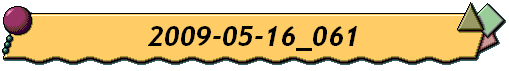 2009-05-16_061