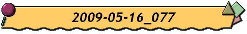 2009-05-16_077