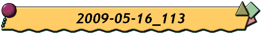 2009-05-16_113