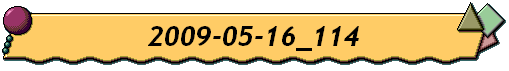 2009-05-16_114