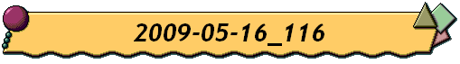 2009-05-16_116