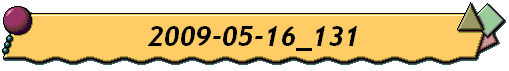 2009-05-16_131