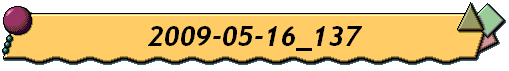 2009-05-16_137