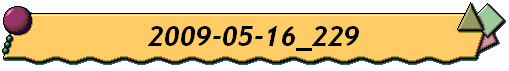2009-05-16_229