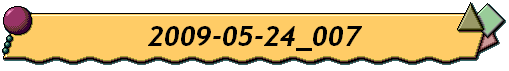 2009-05-24_007