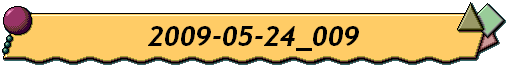 2009-05-24_009