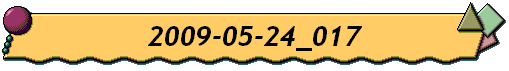 2009-05-24_017