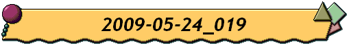 2009-05-24_019