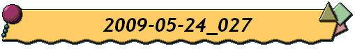 2009-05-24_027